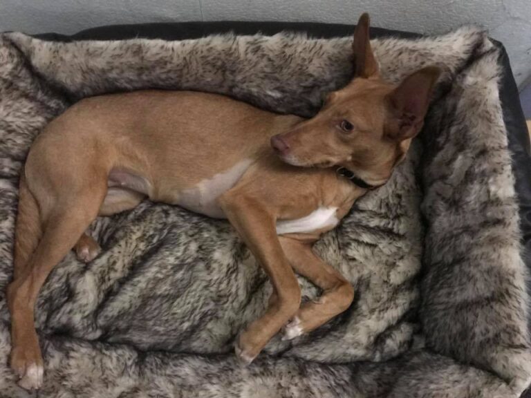 multimedia-foto40424-354-3