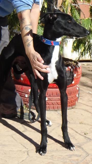 multimedia-foto40425-121-3