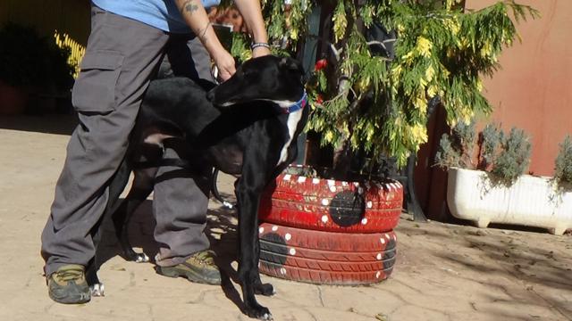 multimedia-foto40426-121-3