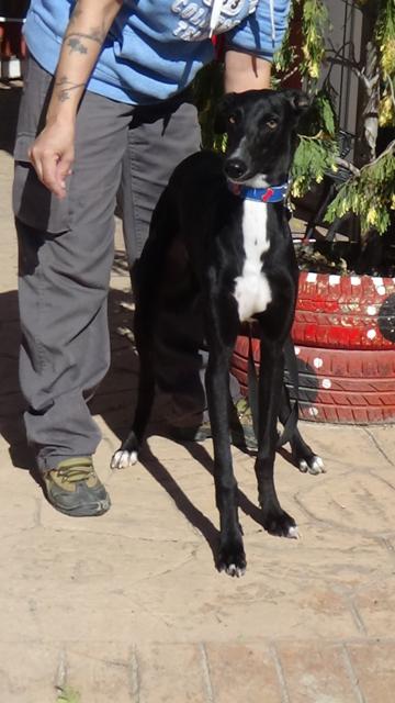 multimedia-foto40427-121-3