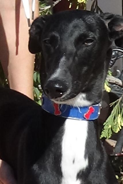 multimedia-foto40428-254-3