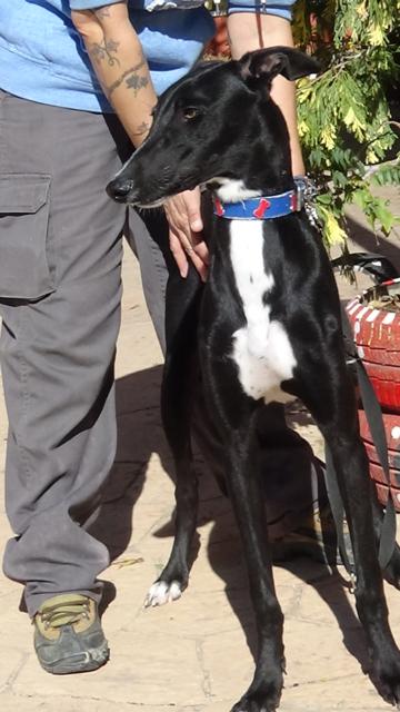 multimedia-foto40429-254-3