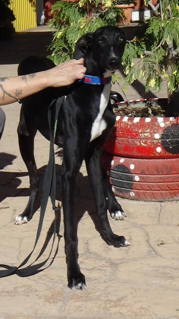 multimedia-foto40430-254-3