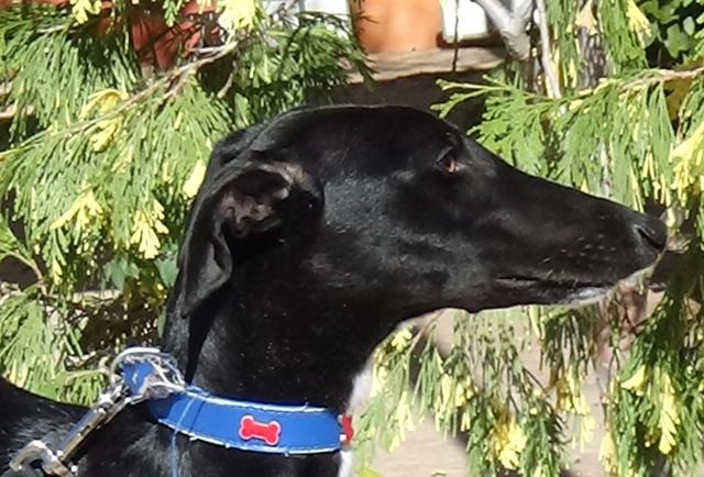 multimedia-foto40431-255-3