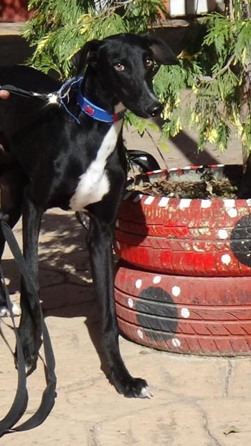 multimedia-foto40433-255-3