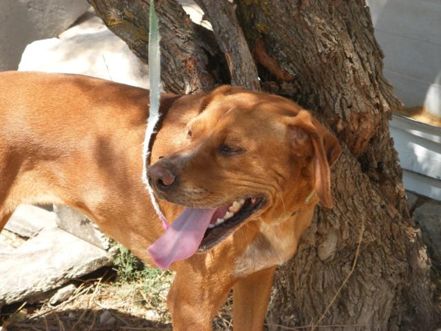 multimedia-foto40438-833-3