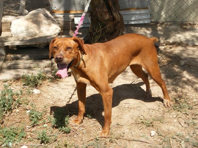 multimedia-foto40439-833-3