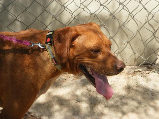 multimedia-foto40440-833-3