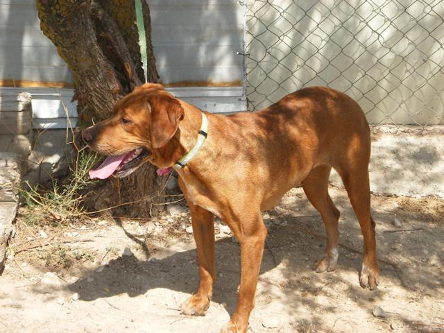 multimedia-foto40441-857-3