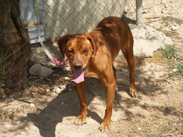 multimedia-foto40442-858-3