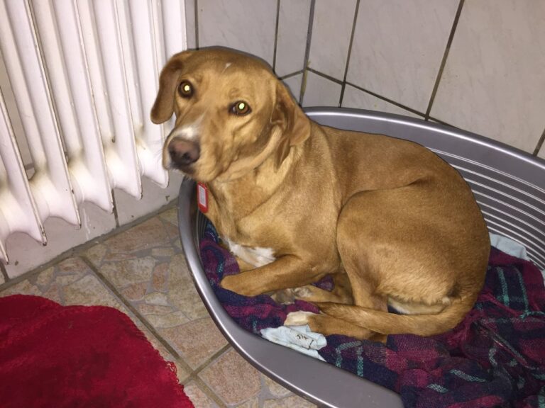 multimedia-foto40443-858-3