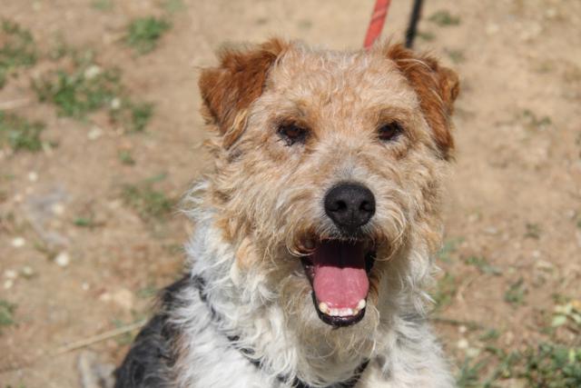 multimedia-foto40453-213-3