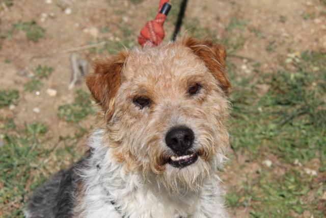 multimedia-foto40455-214-3