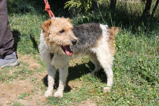 multimedia-foto40456-214-3