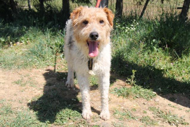 multimedia-foto40458-214-3