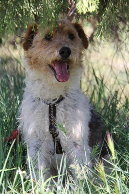 multimedia-foto40459-214-3