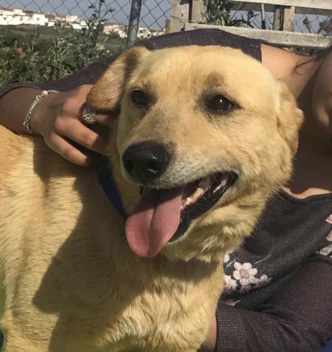 multimedia-foto40474-201-3