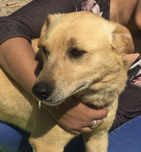 multimedia-foto40475-201-3