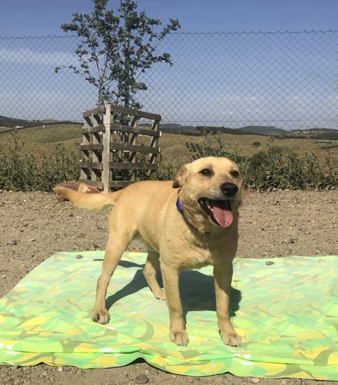 multimedia-foto40476-202-3