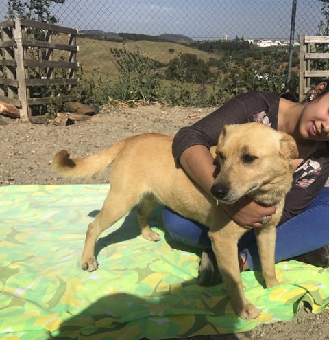 multimedia-foto40477-227-3