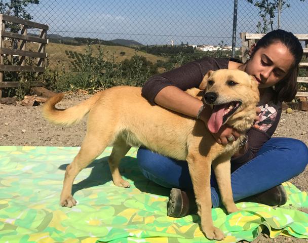 multimedia-foto40478-227-3