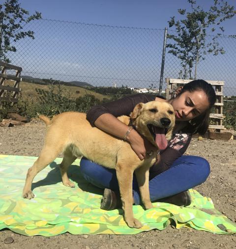 multimedia-foto40479-228-3