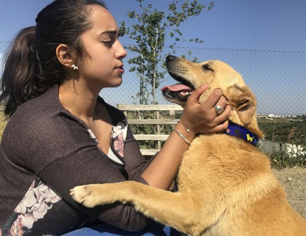 multimedia-foto40480-251-3