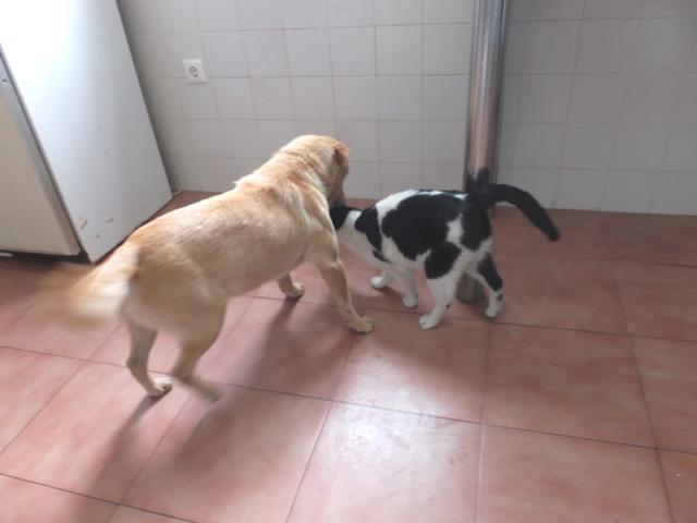 multimedia-foto40481-251-3