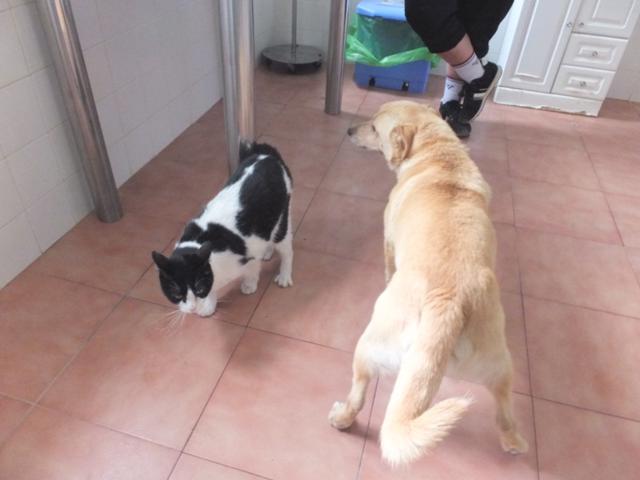 multimedia-foto40482-262-3