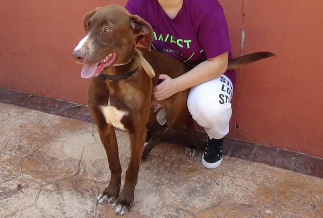 multimedia-foto40490-160-3