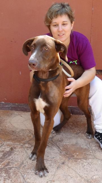 multimedia-foto40491-160-3