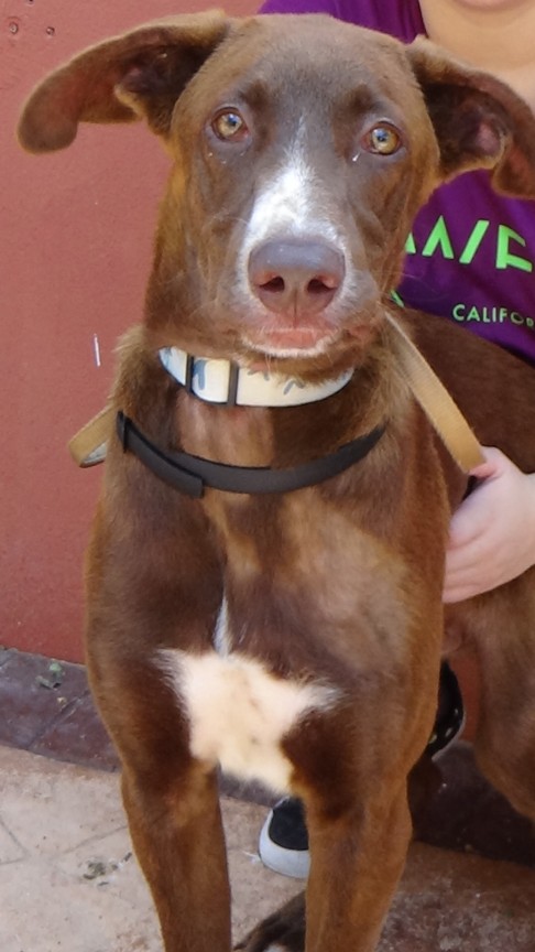 multimedia-foto40493-178-3