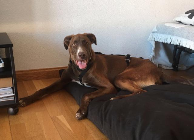 multimedia-foto40494-179-3