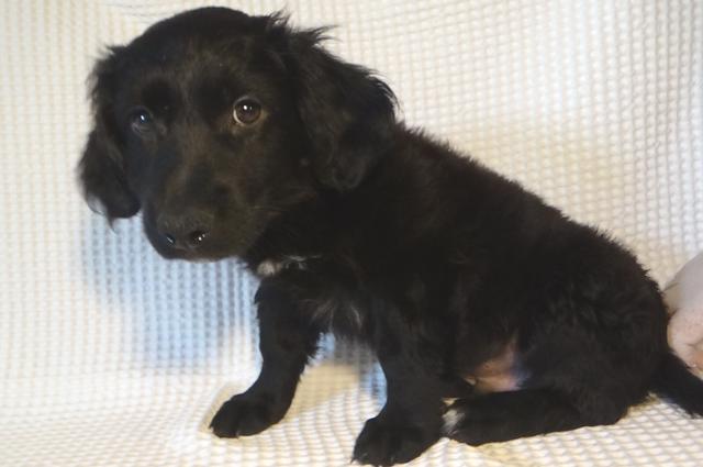 multimedia-foto40495-537-3