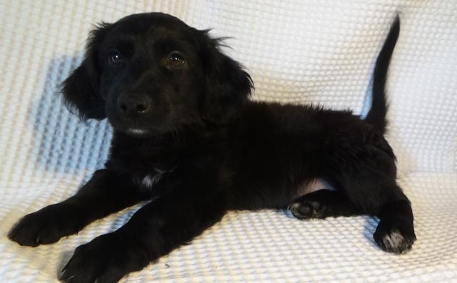 multimedia-foto40503-535-3