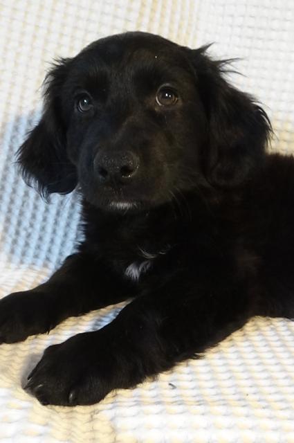 multimedia-foto40504-535-3