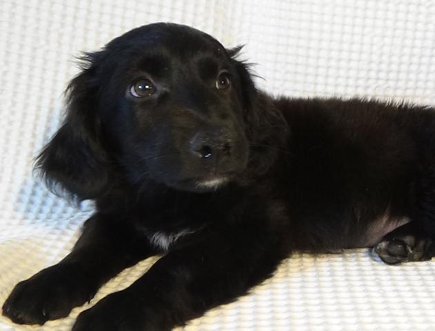 multimedia-foto40505-535-3