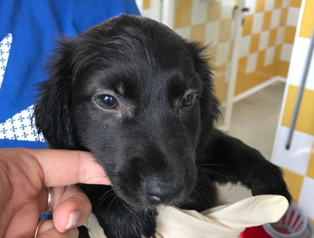 multimedia-foto40508-535-3