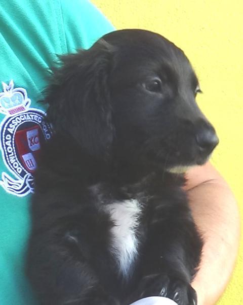 multimedia-foto40512-537-3