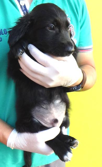 multimedia-foto40513-537-3