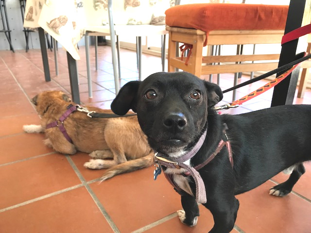 multimedia-foto40521-857-3