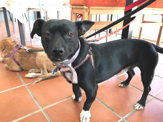 multimedia-foto40522-858-3