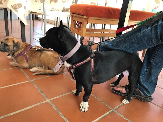 multimedia-foto40523-858-3