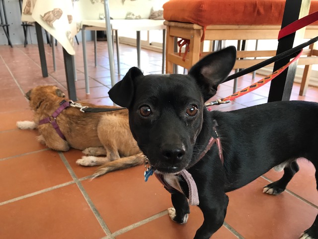 multimedia-foto40524-858-3