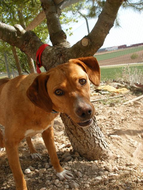 multimedia-foto40528-784-3