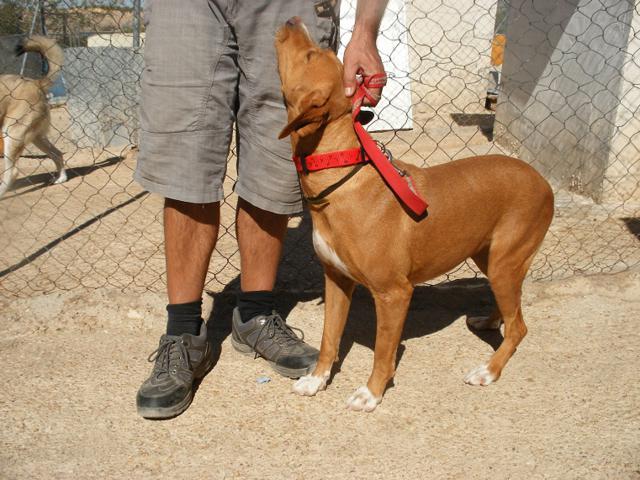 multimedia-foto40529-784-3