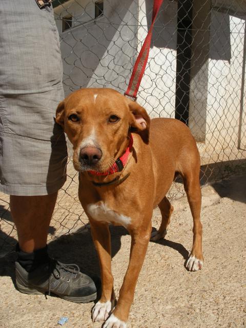 multimedia-foto40530-784-3