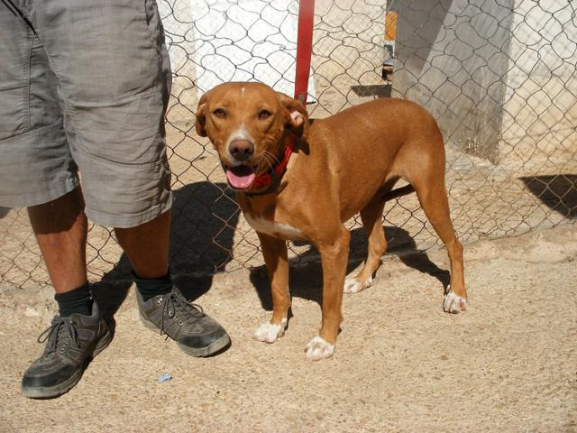 multimedia-foto40531-784-3