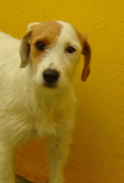 multimedia-foto40538-408-3