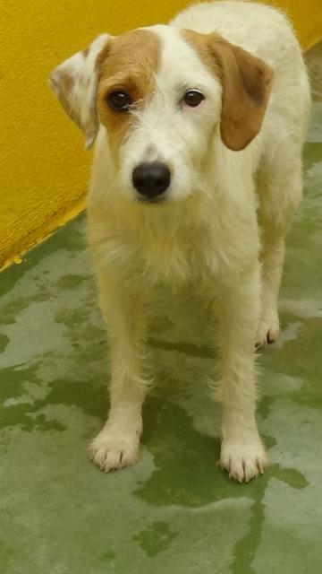 multimedia-foto40540-409-3